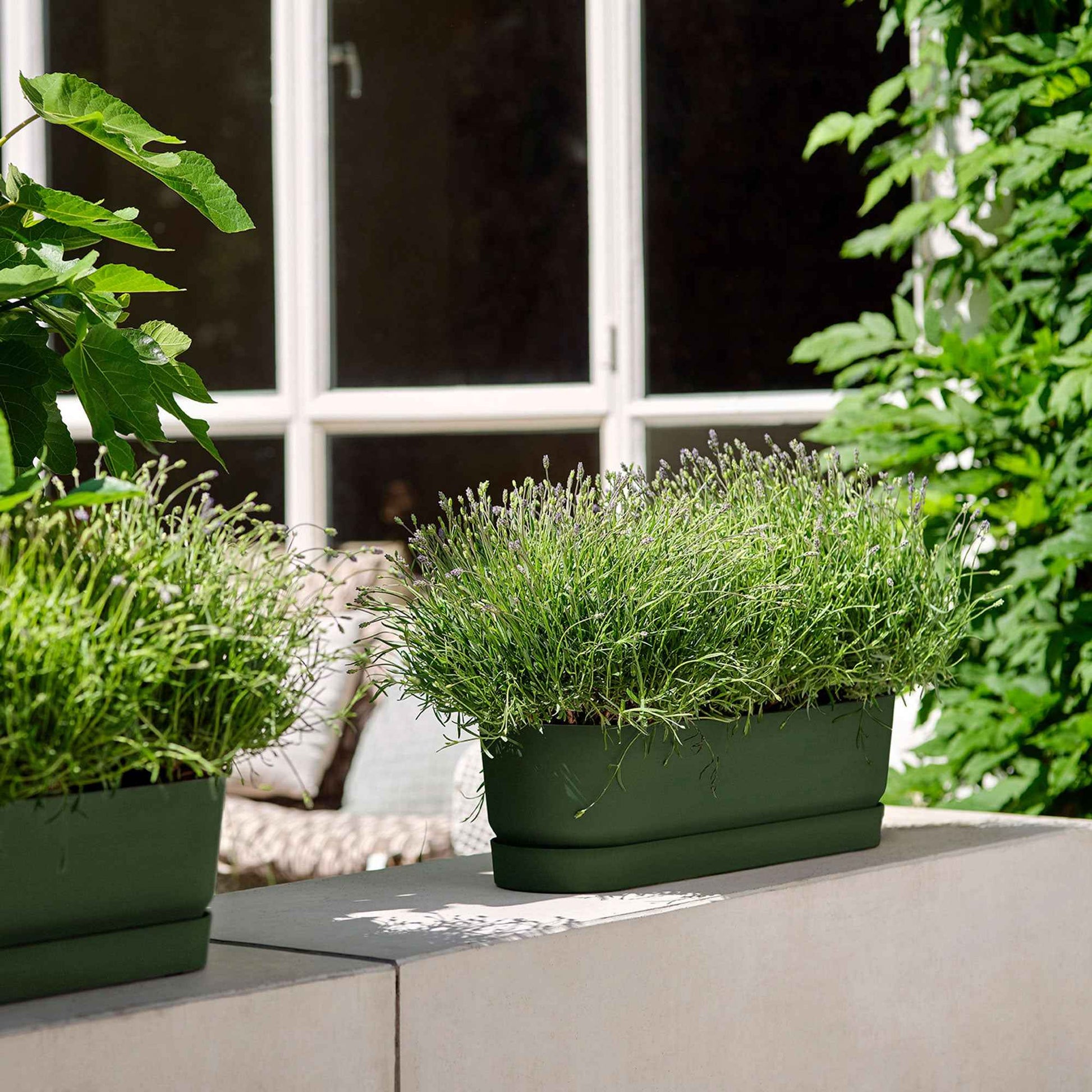 Elho bloempot Greenville terrace trough ovaal groen met wieltjes - Buitenpot - Bloempotten