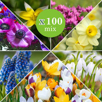 100x Bloembollen - Mix 'Running Wild' - Bijvriendelijke bloembollen
