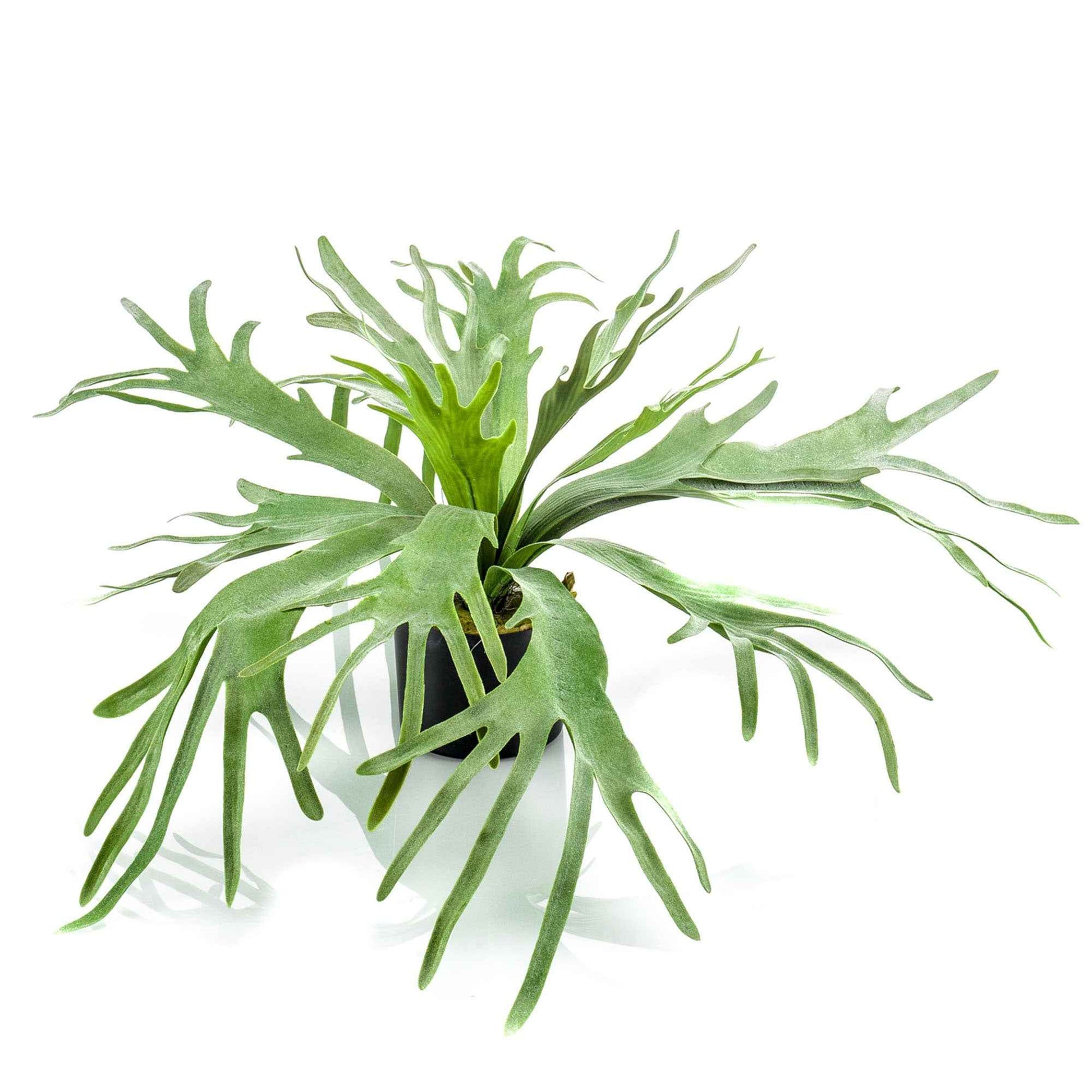 Kunstplant Hertshoornvaren Platycerium - Groene kunstplanten