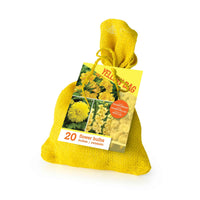 20x Bloembollen - Mix 'The Yellow Bag' Geel - Alle bloembollen