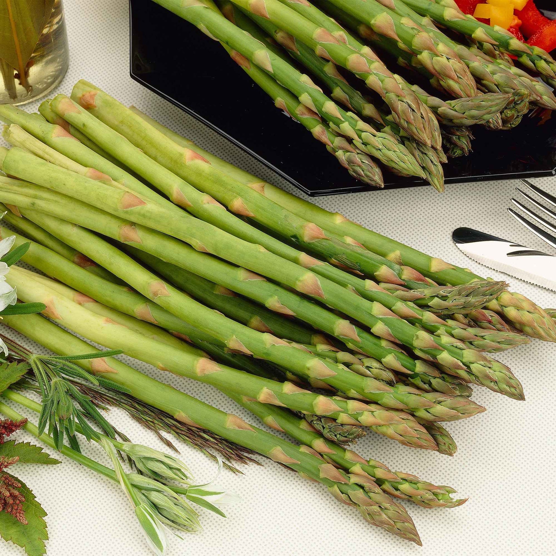 Groene asperge Asparagus 'Vegalim' Biologisch - Biologische groente