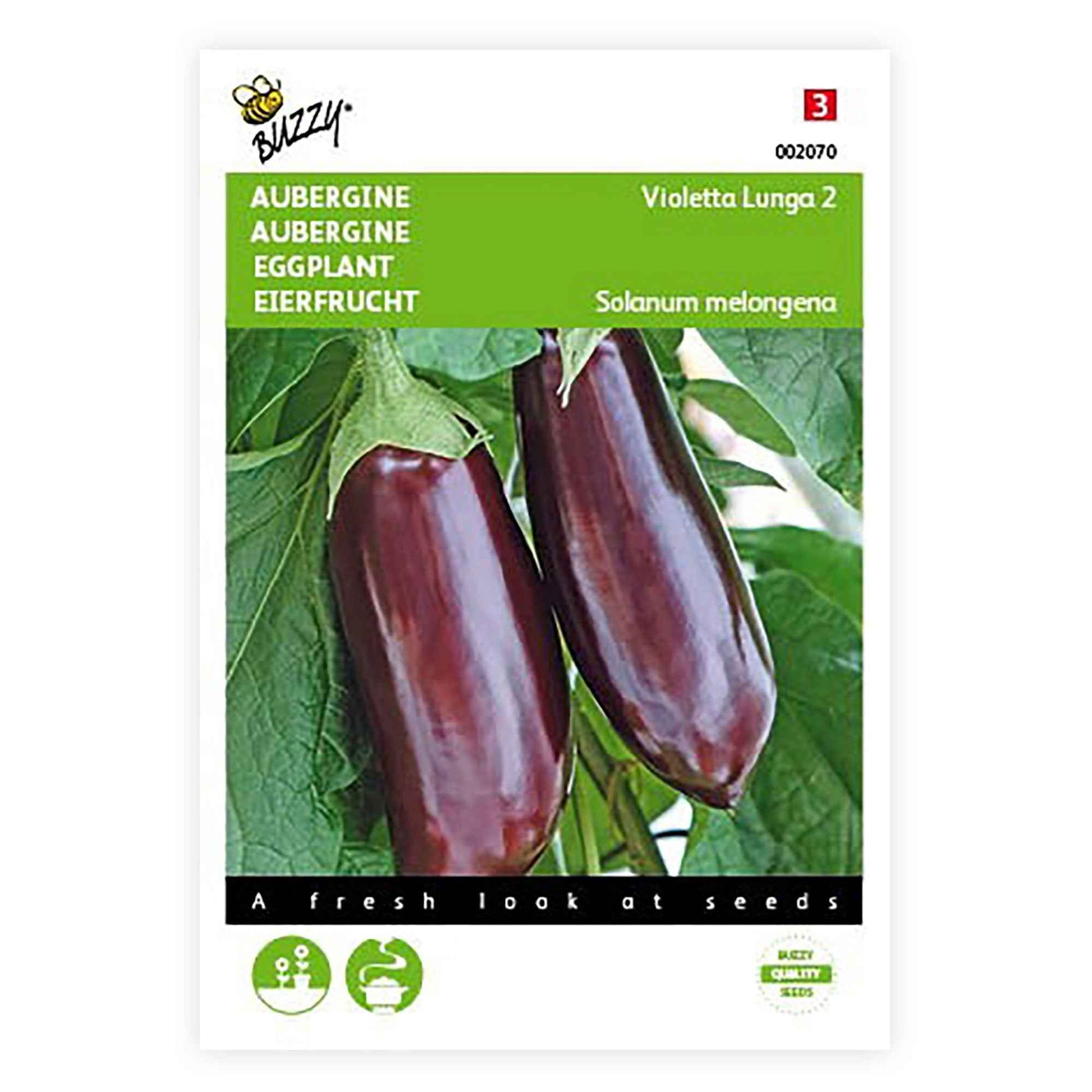 Aubergine Solanum 'Violetta Lunga' 10 m² - Groentezaden - Groentezaden
