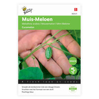 Muismeloen Melothria 'Cucamelon' 3 m² - Fruitzaden - Moestuin