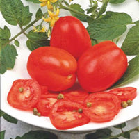 Tomaat Solanum 'Super Roma' rood 2 m² - Groentezaden - Moestuin