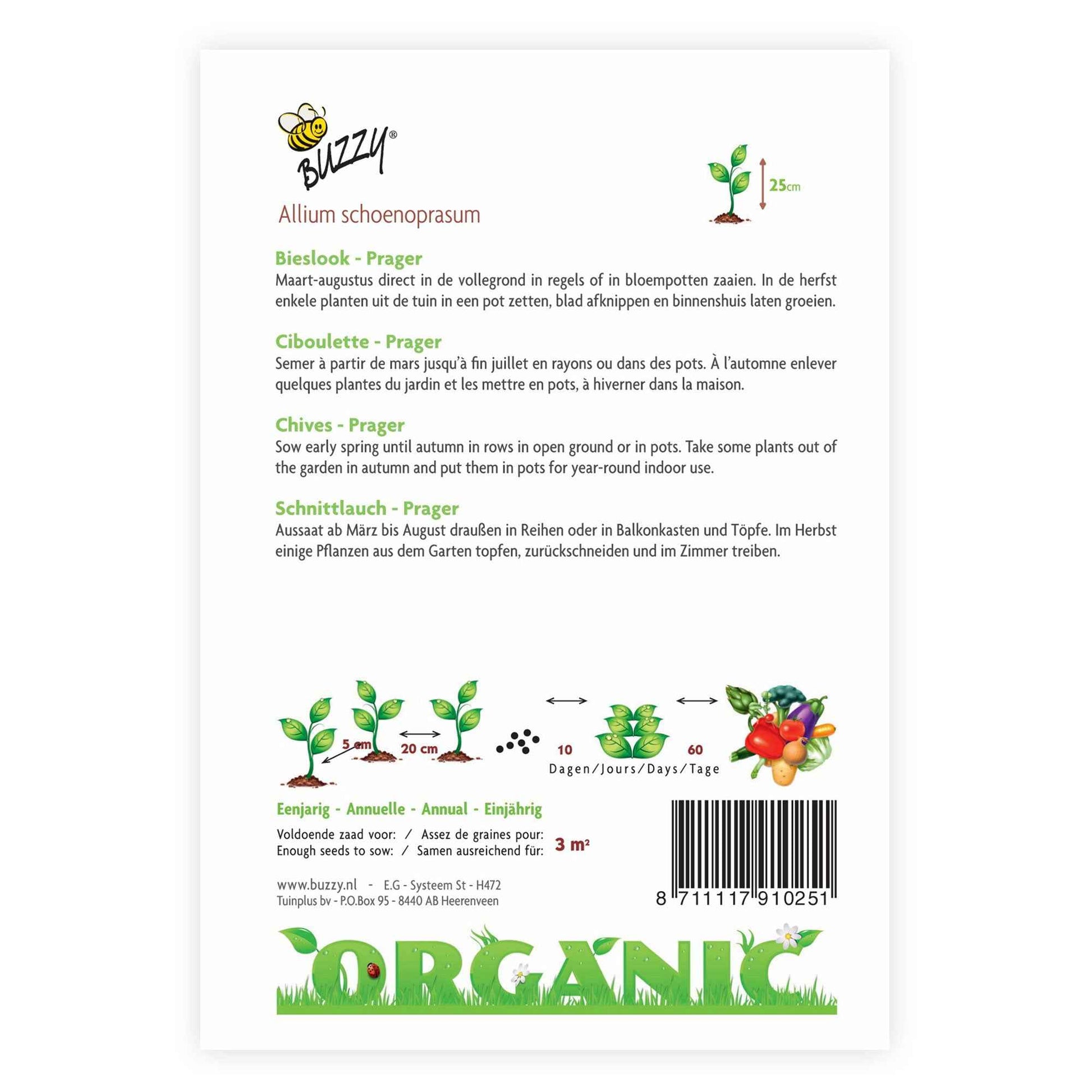 Bieslook Allium 'Prager' - Biologisch 4 m² - Kruidenzaden - Zaden