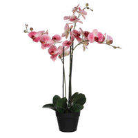 Kunstplant Orchidee Phalaenopsis roze Incl. sierpot rond kunststof - Alle kunstplanten