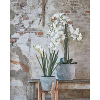 Kunstplant Orchidee Phalaenopsis wit Incl. sierpot rond kunststof - Bloeiende kunstplanten