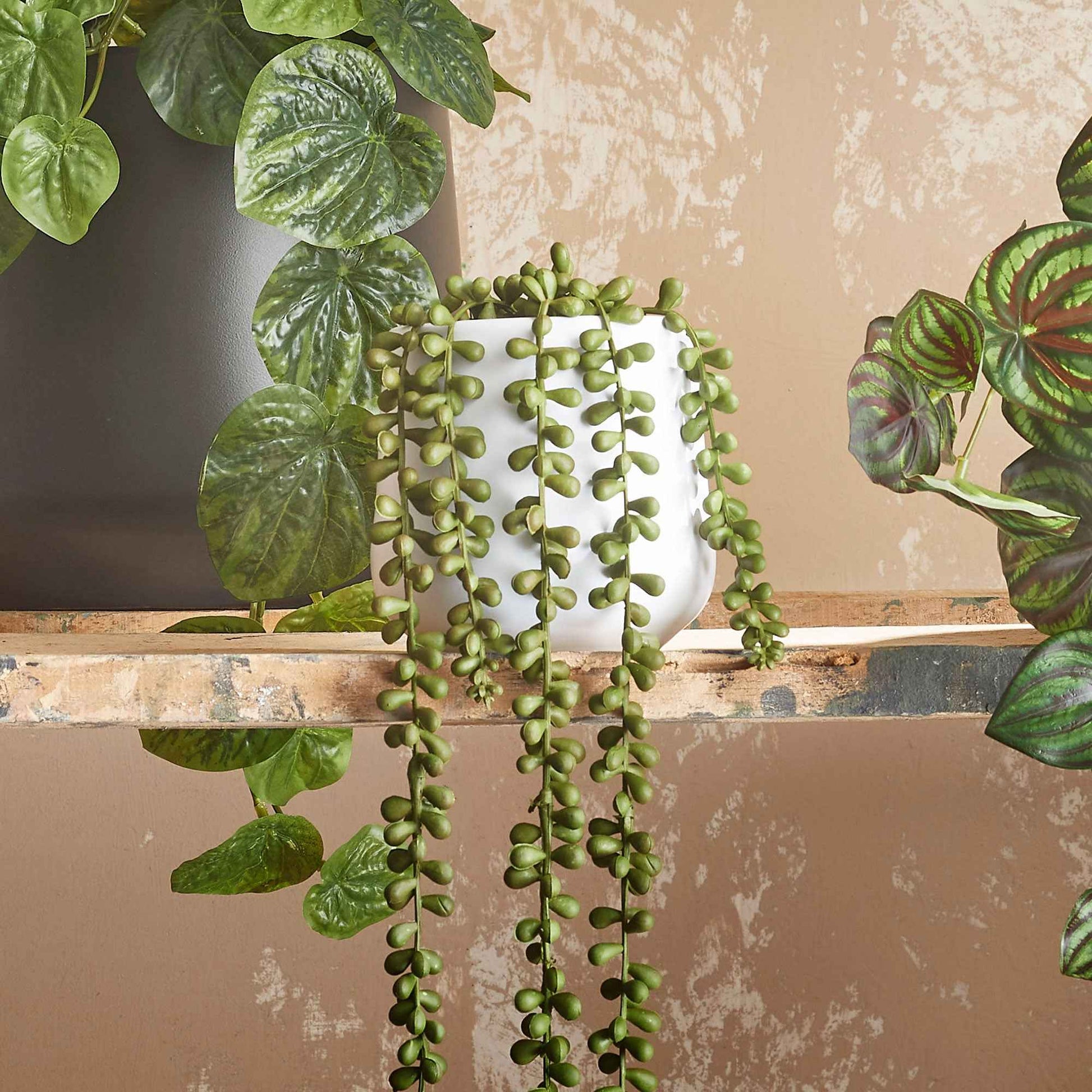 Kunstplant Vetplant Senecio 'Pearl' - Kunst hangplanten