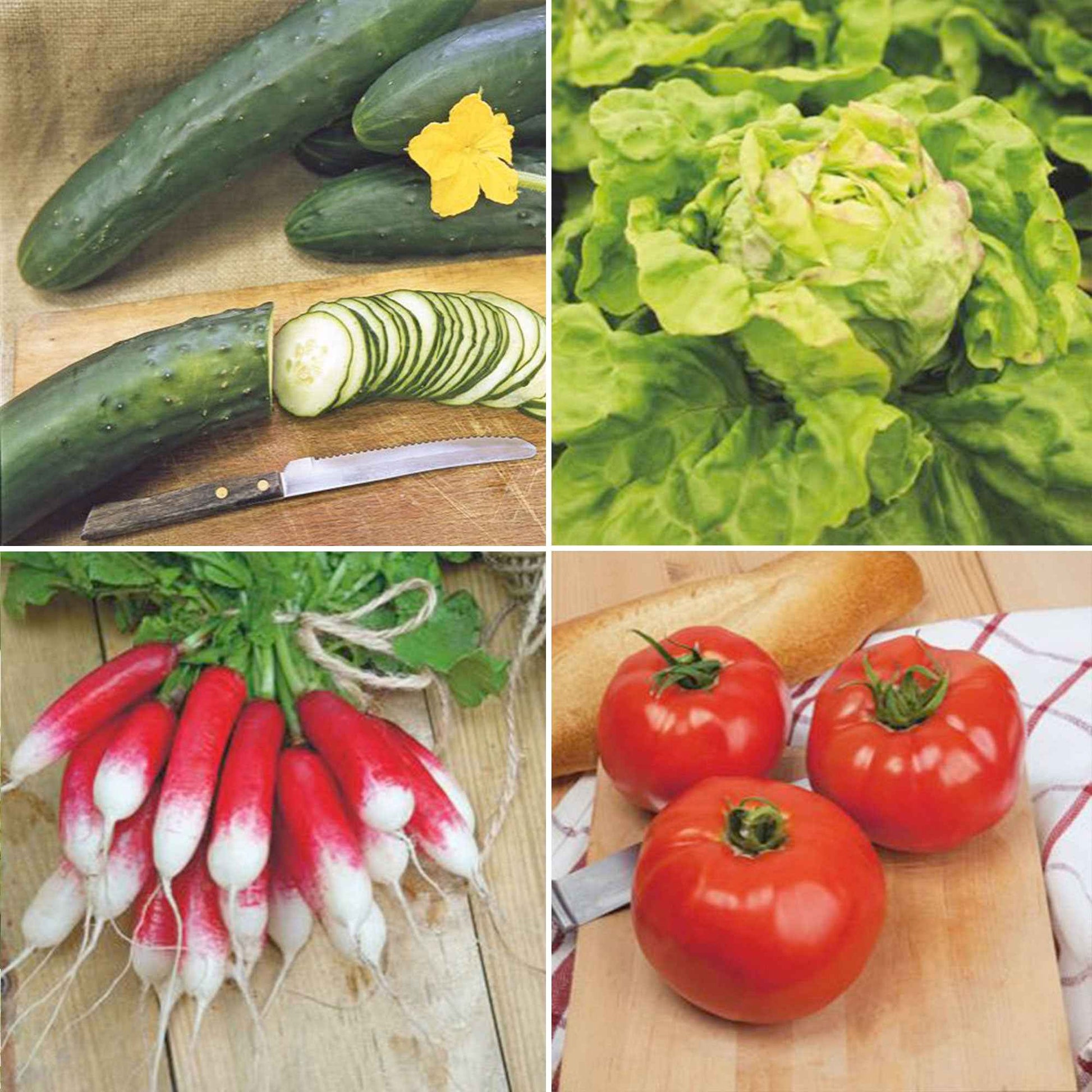 Voorjaarsgroenten pakket 'Verfrissende Voorjaar' - Biologisch - Groentezaden - Doe-het-zelf-groentepakket