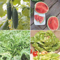 Zomerpakket 'Zalige Zomer' - Biologische groentezaden, kruidenzaden,  fruitzaden - Biologische groente