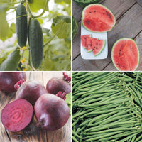 Moestuinieren pakket 'Makkelijke Moestuin' - Biologisch Groentezaden, fruitzaden - Biologische groente