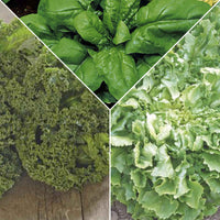Groene smoothie pakket 'Gloeiend Groen' - Biologisch - Groentezaden - Doe-het-zelf-groentepakket