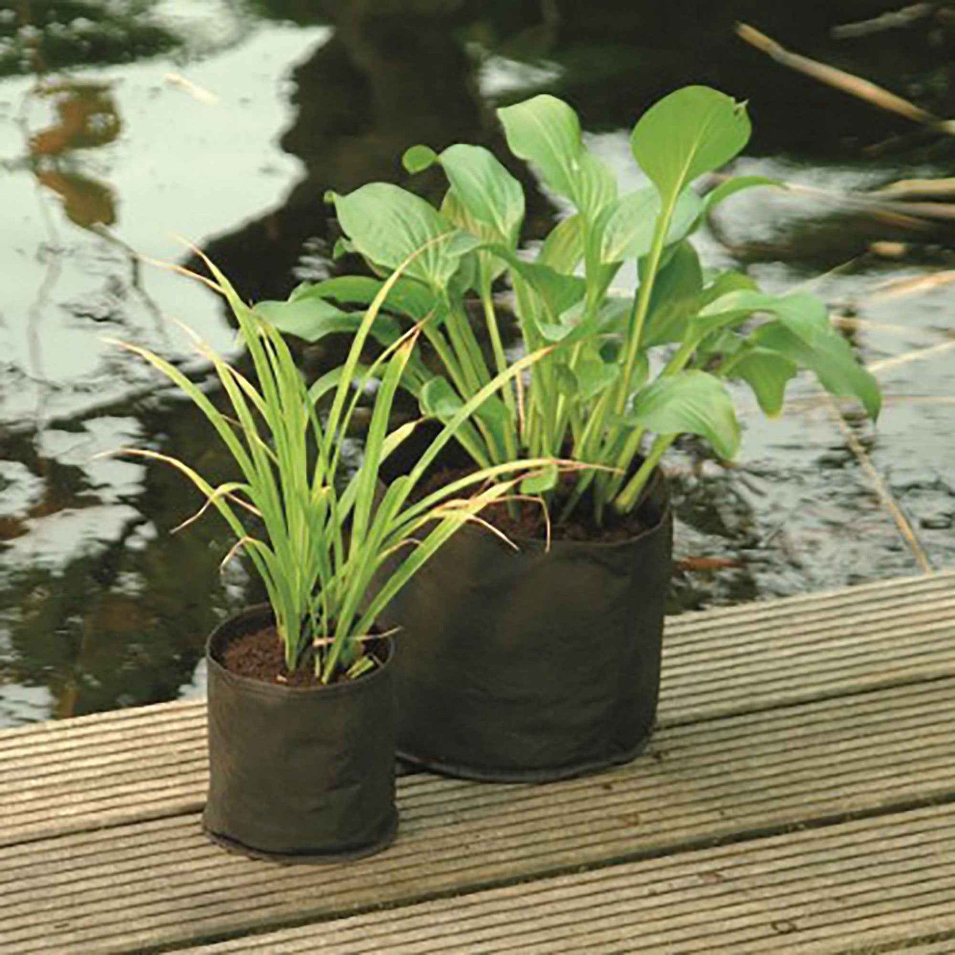 Waterplantzakje - Vierkant - Vijverplantenmanden