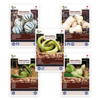 Pompoenen pakket 'Sierlijke Soorten' 24 m² - Groentezaden - Doe-het-zelf-groentepakket