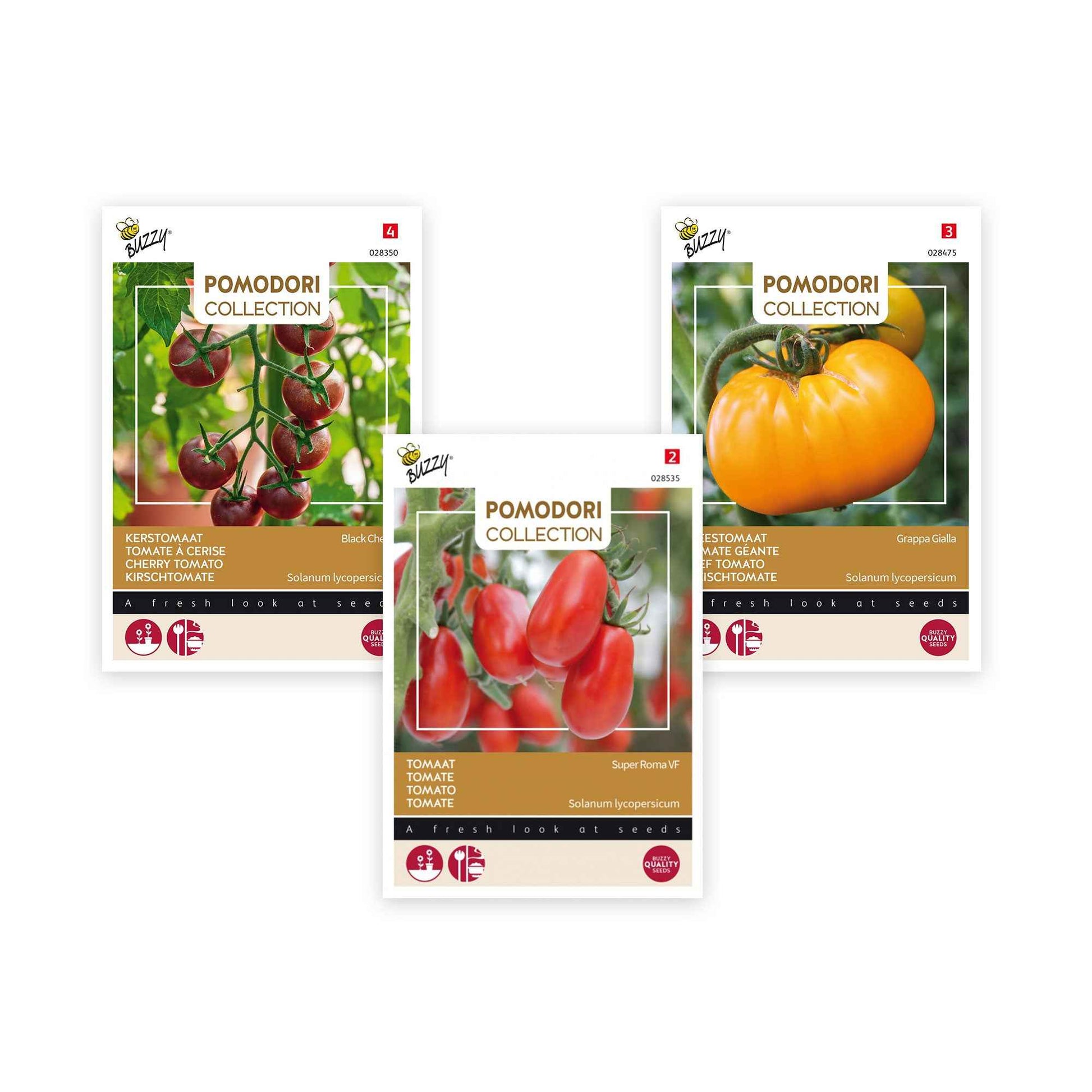Tomaten pakket Solanum 'Pittige Pomodori' 7 m² - Groentezaden - Groente kweekset