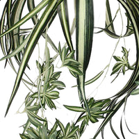Kunstplant Chlorophytum hangend groen incl. sierpot bruin - Kunst hangplanten