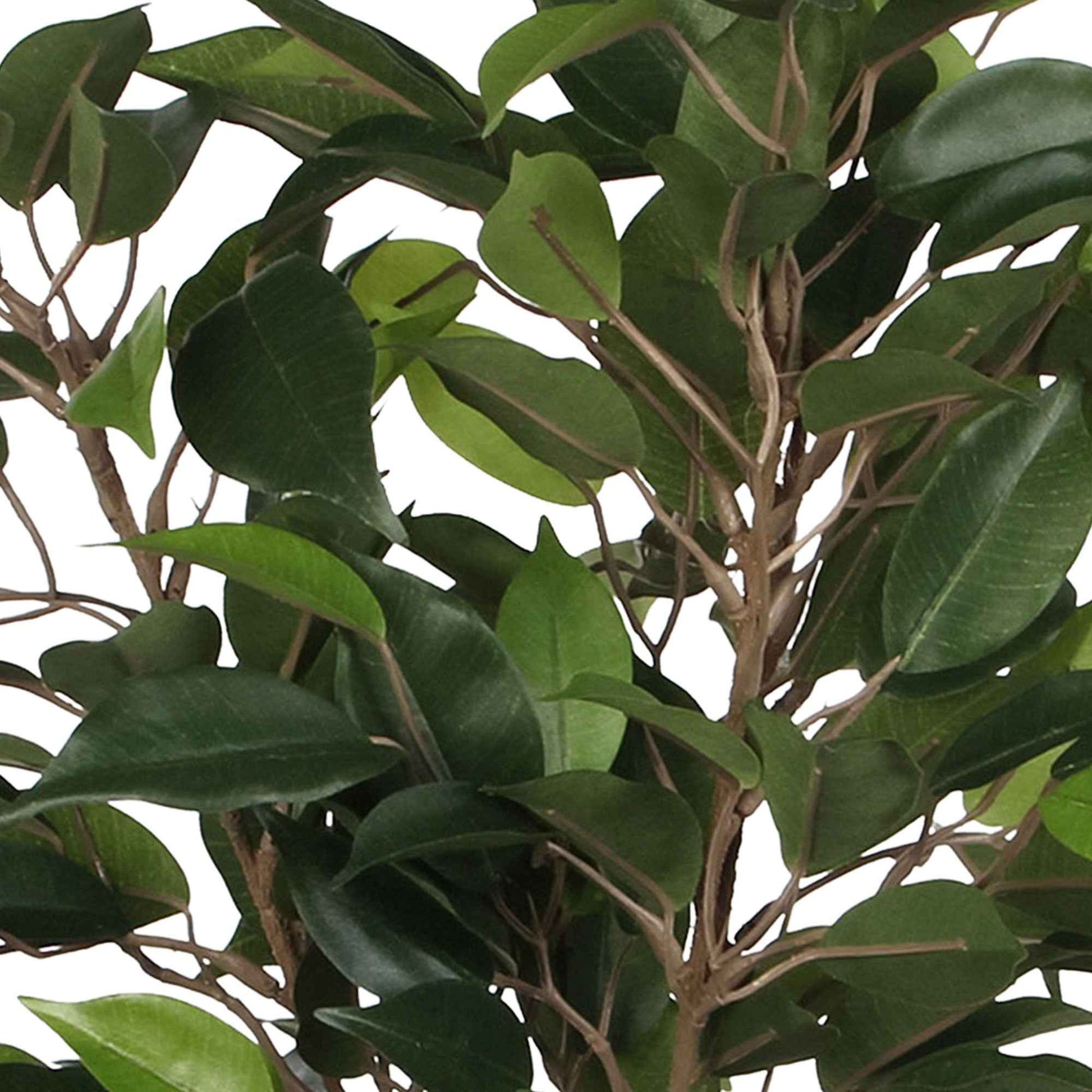 Kunstplant Ficus 'Natasja' groen incl. sierpot bruin - Kamerplanten