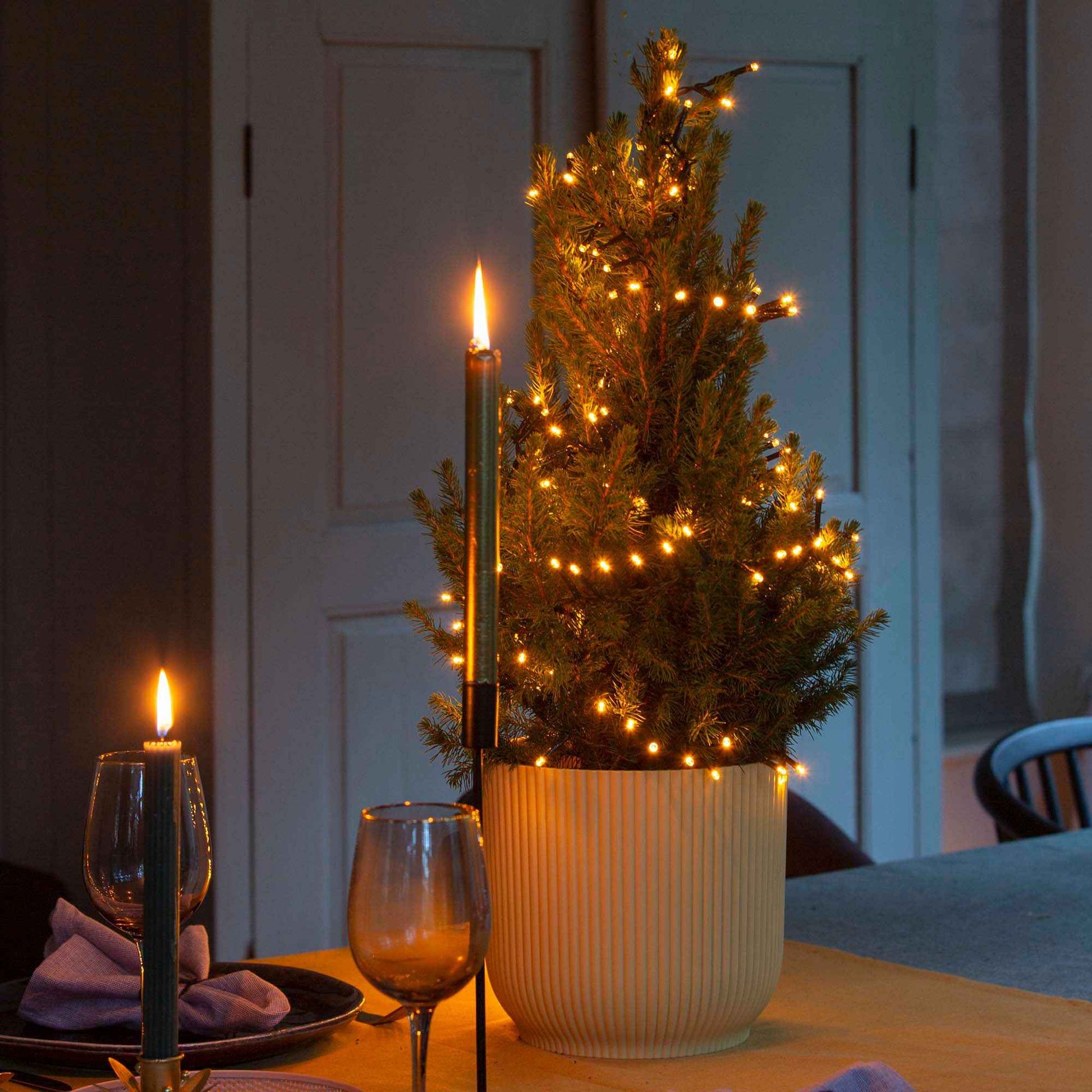 Picea glauca Conica  - Mini kerstboom - Bomen