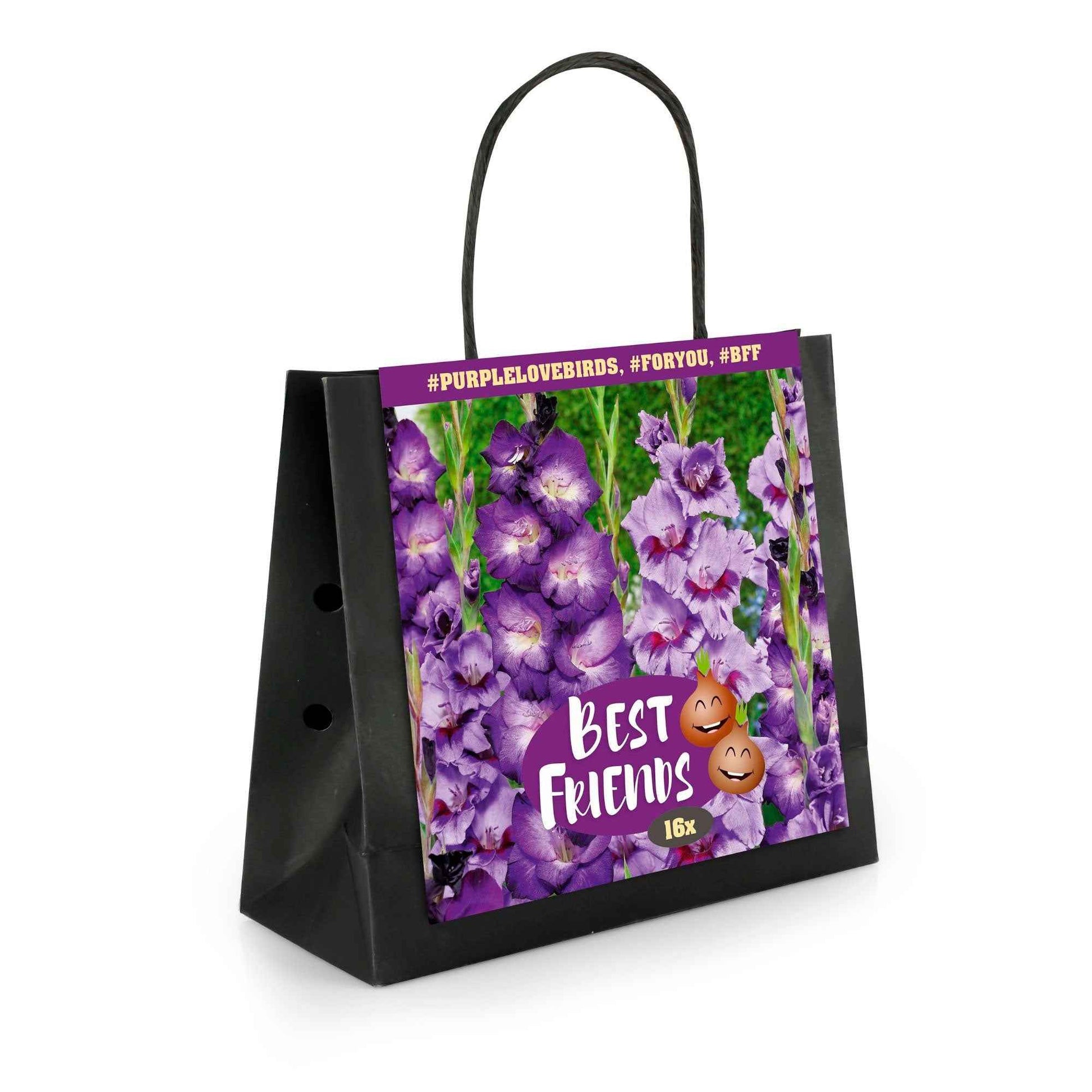 16x Gladiool Gladiolus 'Purple Love Birds'  Paars - Alle bloembollen