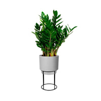 Elho B. for Studio Round incl. plantenstandaard - binnenpot Grijs - Bloempotten met plantenstandaard